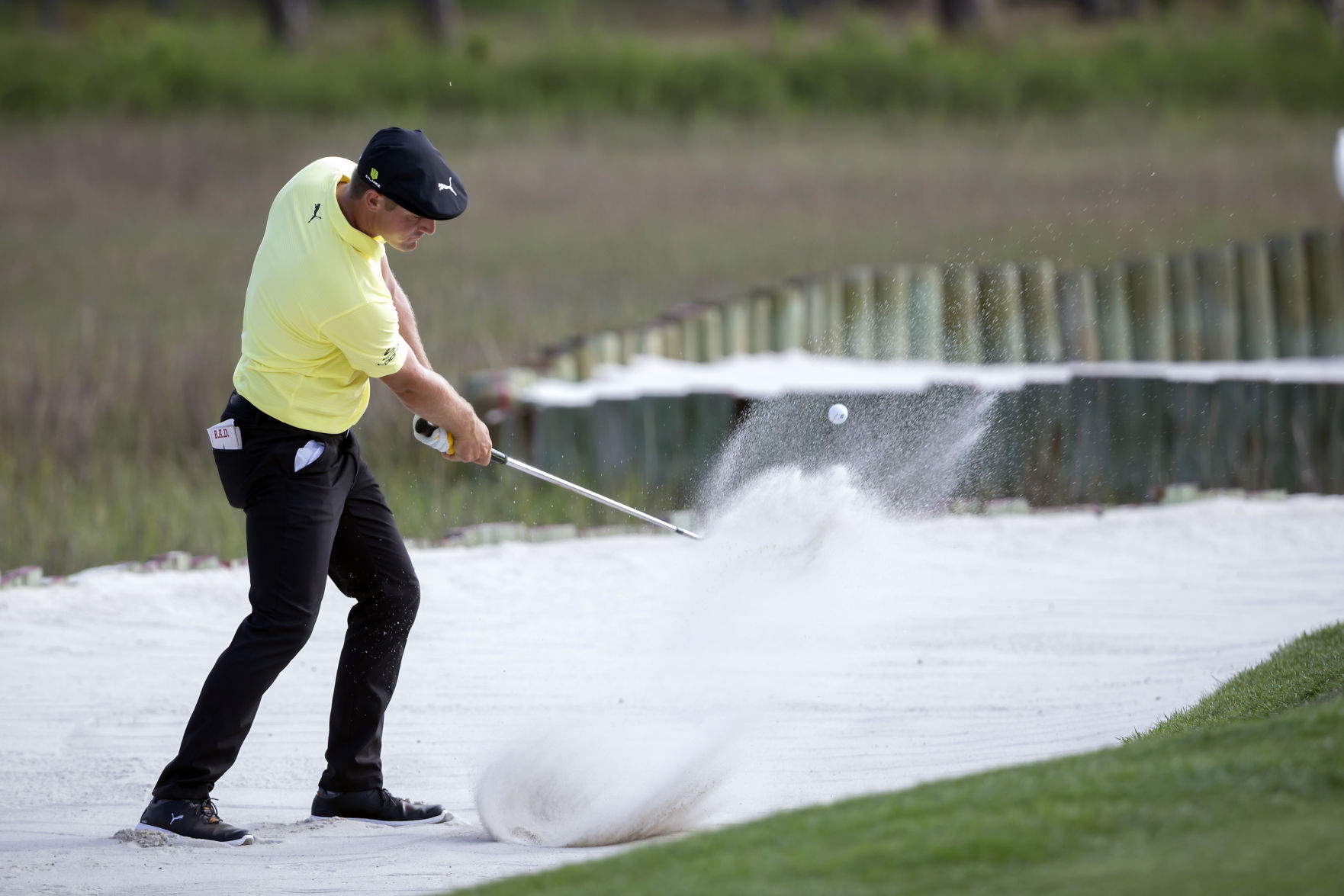RBC Heritage Golf
